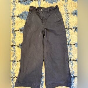 Ever lane Size 0 Navy Pants